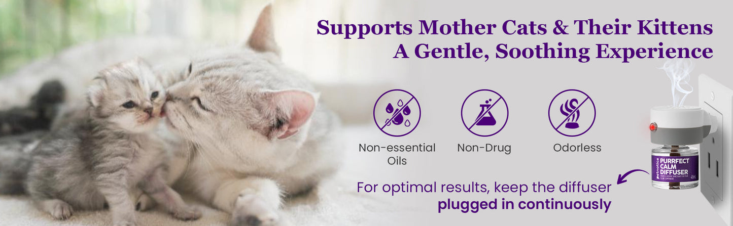 Purrfect Calming Diffuser Kit with 2 Refills