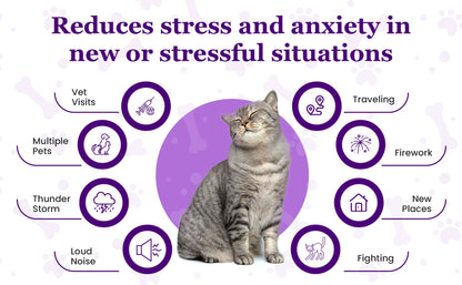 Purrfect Calming Diffuser Kit with 2 Refills