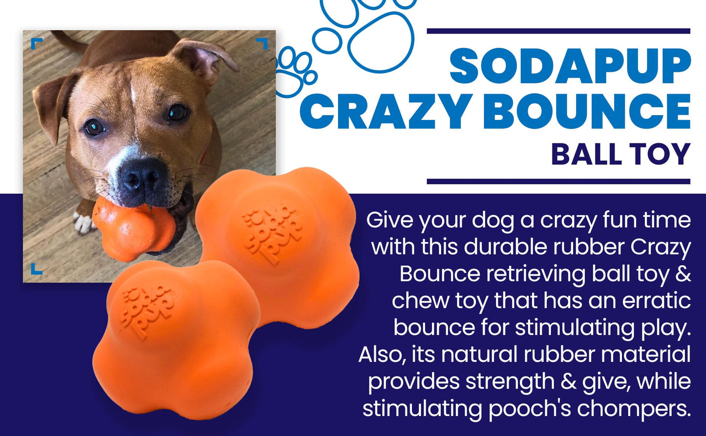 Orange dog toy with a dog holding it, labeled 'Sodapup Crazy Bounce Ball Toy' on a blue background.