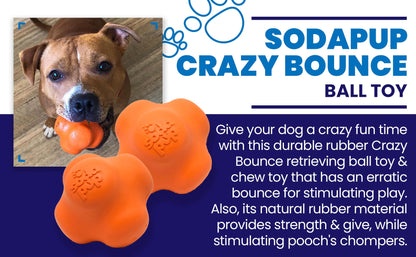 Orange dog toy with a dog holding it, labeled 'Sodapup Crazy Bounce Ball Toy' on a blue background.