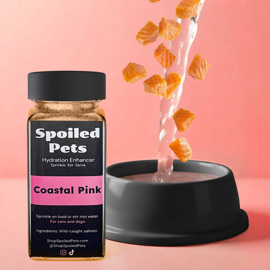 Spoiled Pets hydration enhancer bottle with a bowl of water and salmon pieces on a pink background