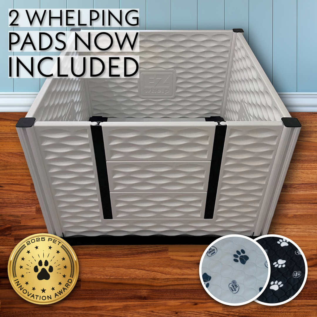 Pet playpen with quilted design and '2023 Pet Innovation Award' badge on a wooden floor.