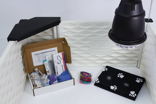 Assorted items including a box, stationery, and a black bag with paw prints on a textured surface.
