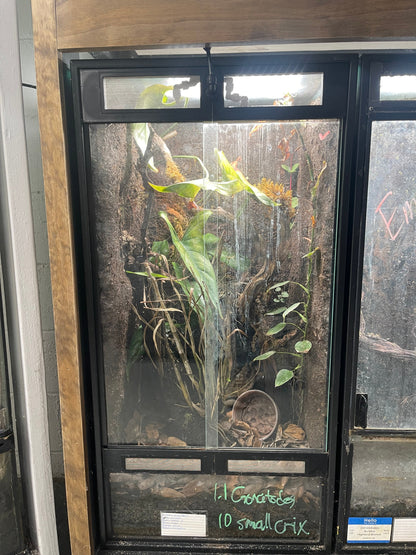 Vending machine with a plant inside, labeled '10 Grotes' and '10 small crx'.