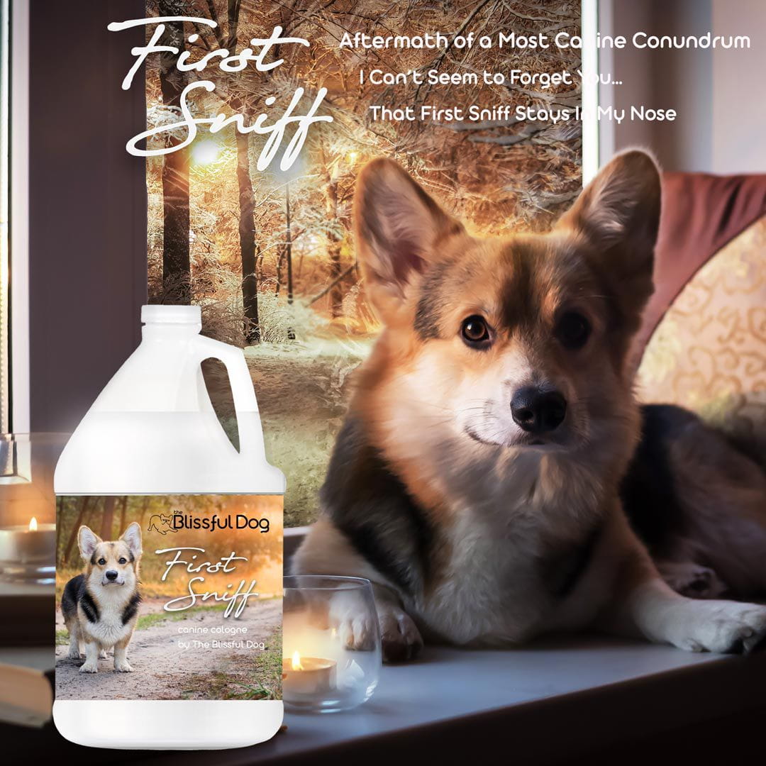 Dog product with a dog and candle in front of a scenic background