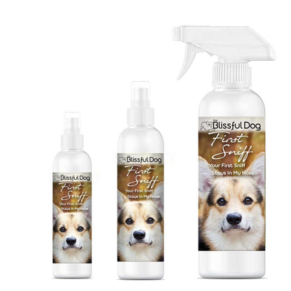 Three bottles of 'Blissful Dog First Sniff' product on a white background