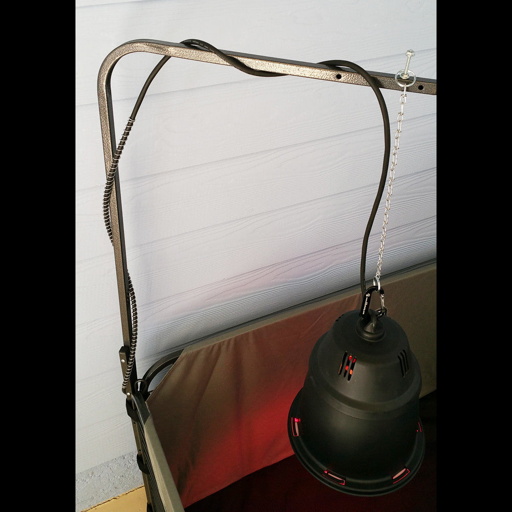 Black industrial-style lamp with a flexible neck on a white background