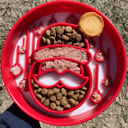 Slow Feeder Dog Bowls