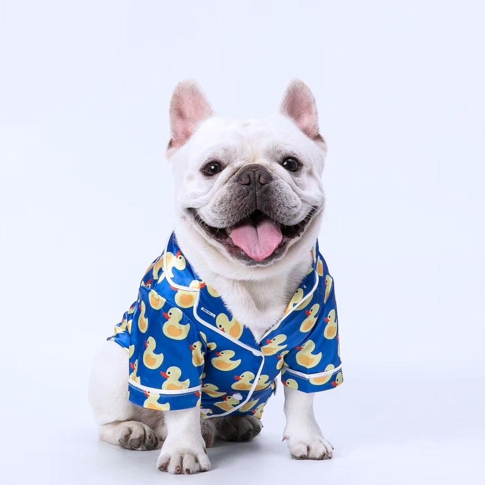 Dog wearing a blue pajama with yellow duck pattern on a white background
