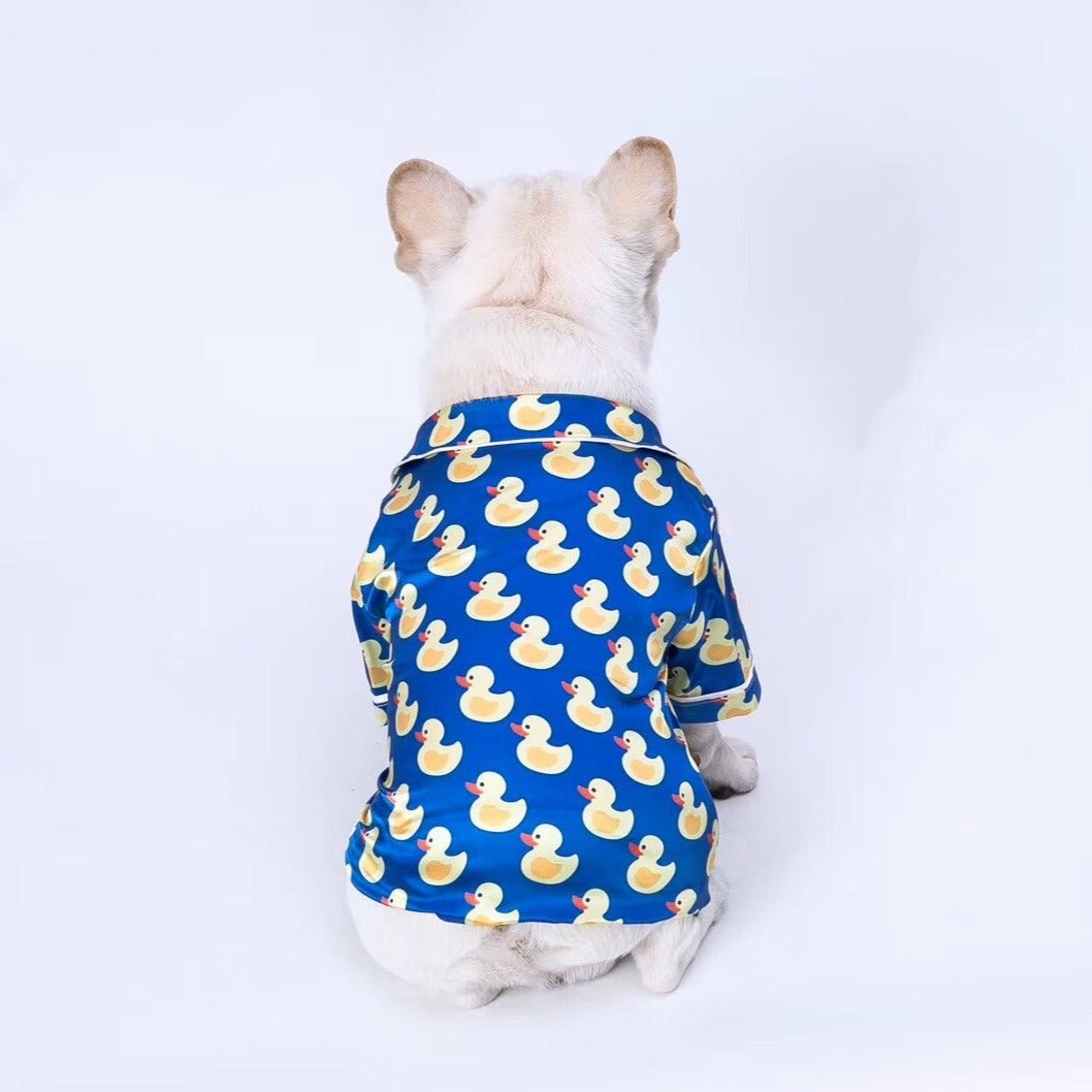 Dog wearing a blue shirt with yellow duck pattern on a white background