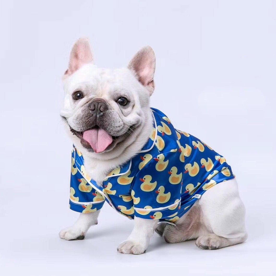 Dog wearing a blue shirt with yellow duck patterns on a white background