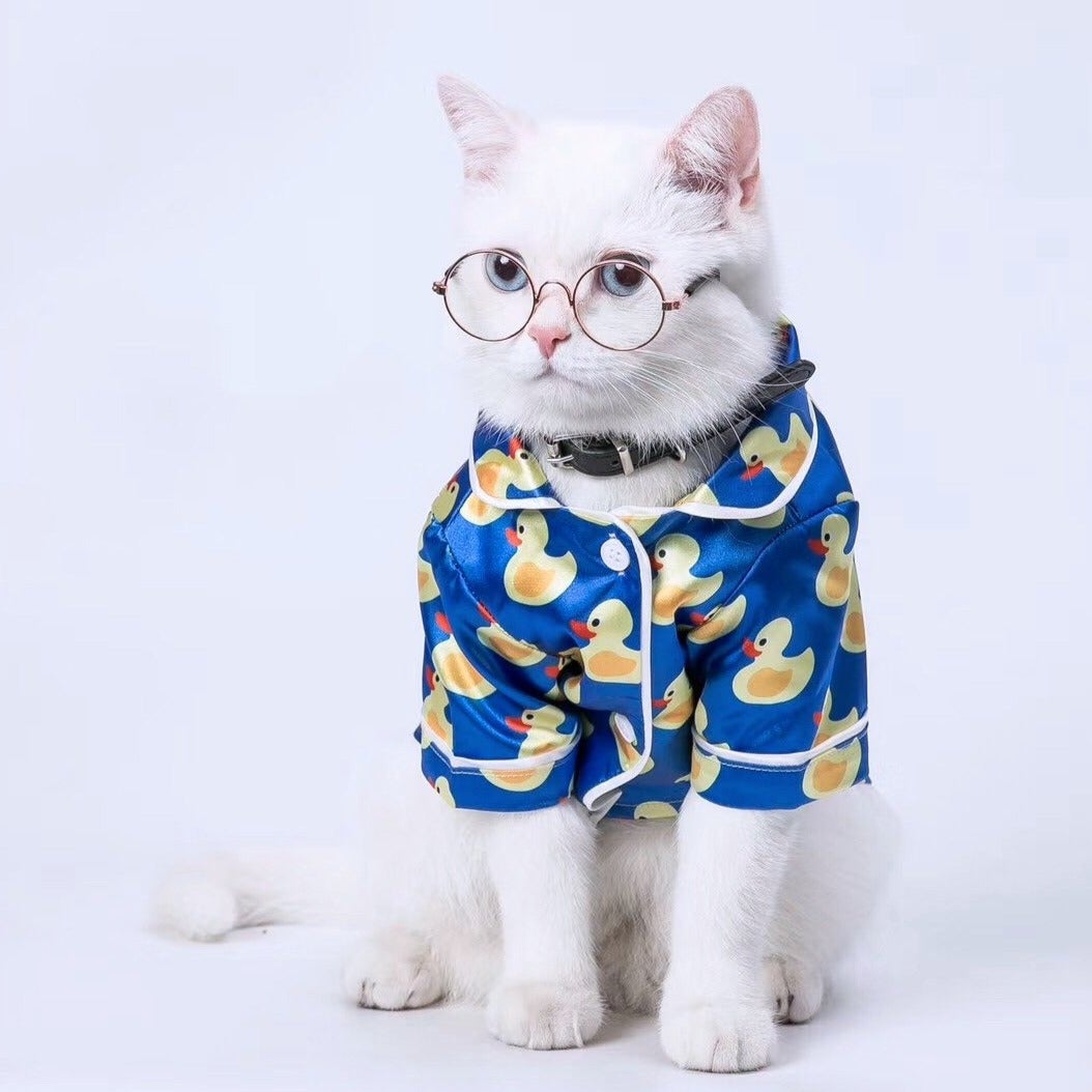 Cat wearing a blue raincoat with duck patterns on a white background