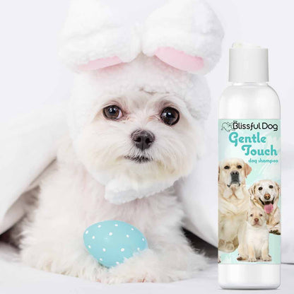 Small white dog wearing a bunny hat with a bottle of 'Blissful Dog Gentle Touch' shampoo.