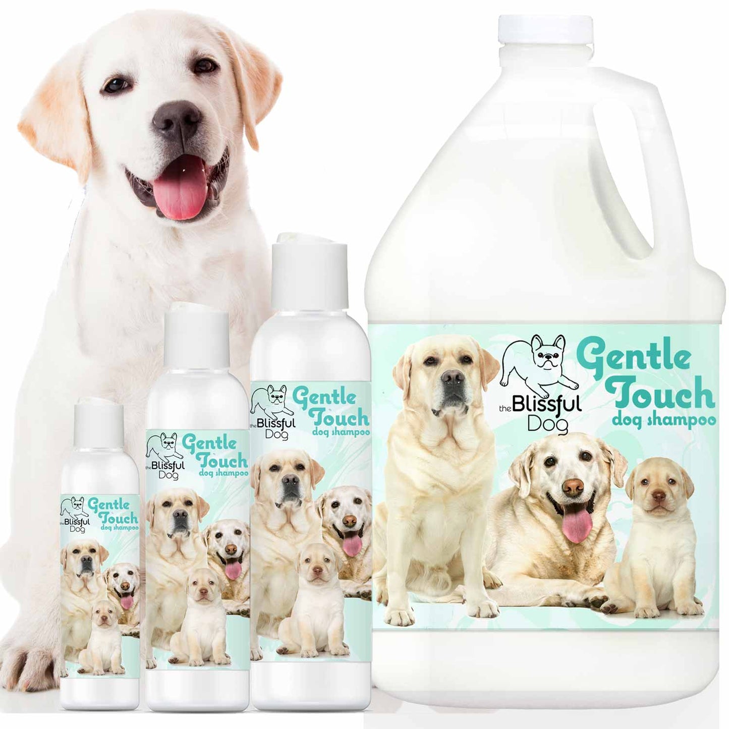 Gentle Touch dog shampoo bottles with a Labrador Retriever on a white background