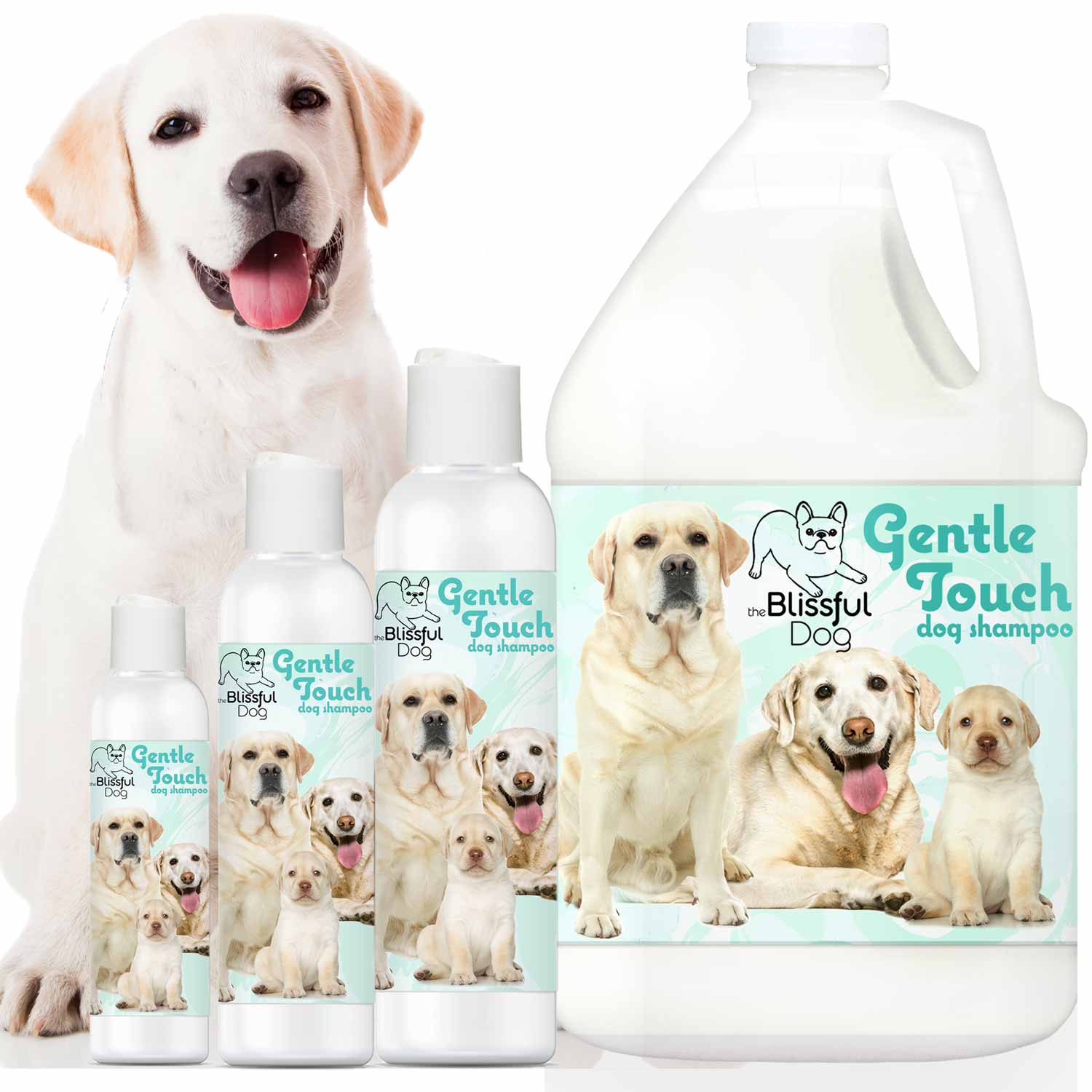 Gentle Touch dog shampoo bottles with a Labrador Retriever on a white background