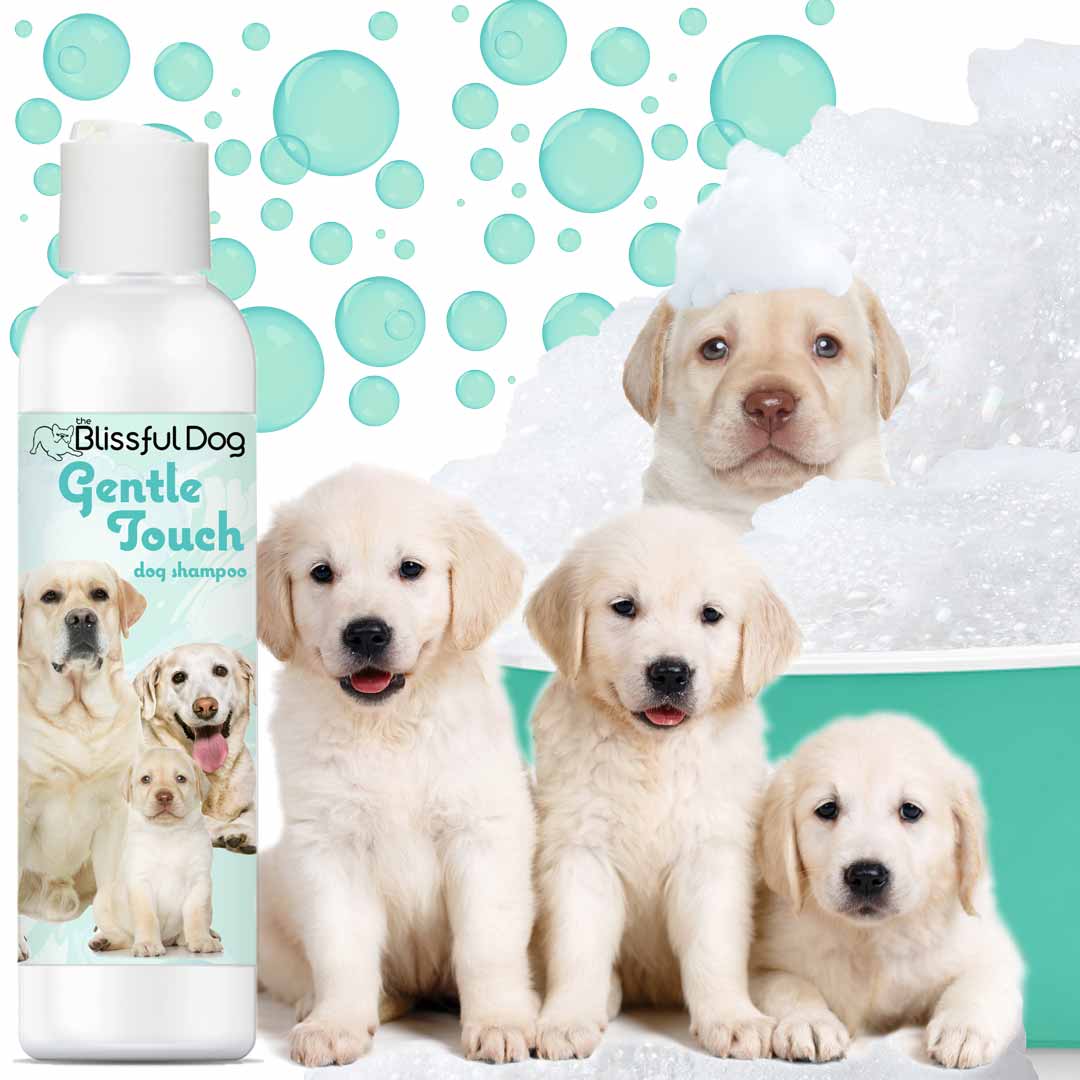 Blissful Dog Gentle Touch dog shampoo bottle with puppies in a bathtub and bubbles