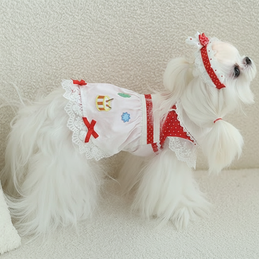 Small white dog wearing a red and white outfit with decorative elements on a light background