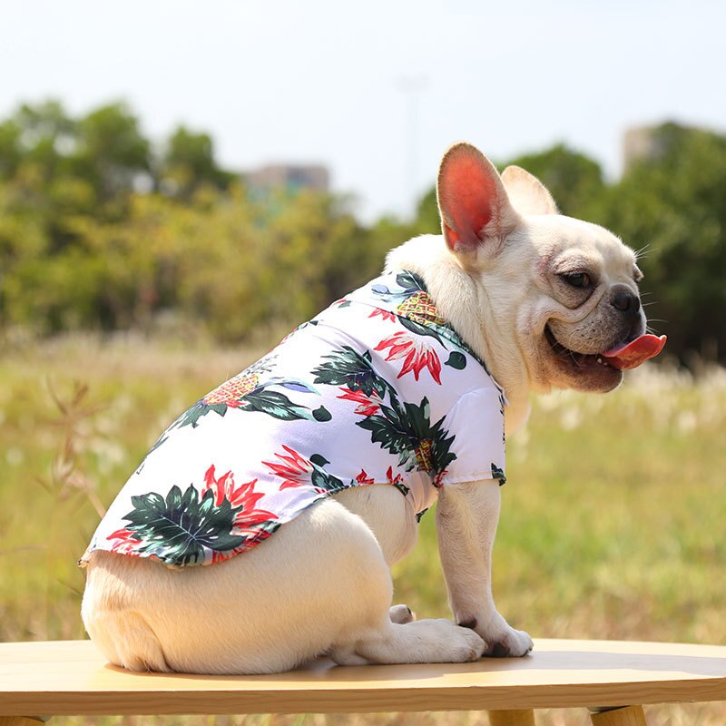 Dog wearing a floral shirt sitting on a wooden bench outdoors.