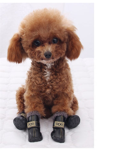 Small brown dog wearing black boots with 'DOG' branding on a white background