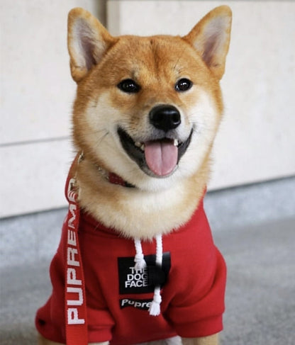 Dog wearing a red hoodie with visible branding on a light background