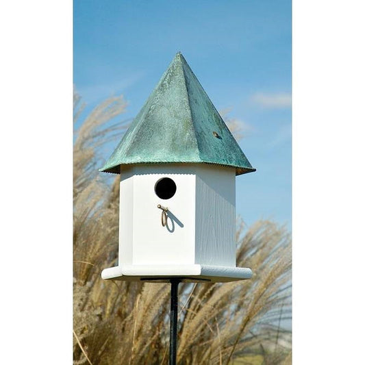 Birdhouse with a green roof against a blue sky