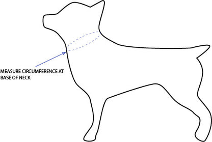 Outline of a dog with instructions to measure circumference at the base of the neck.