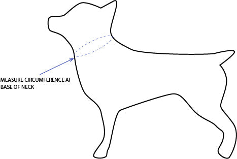 Outline of a dog with instructions to measure circumference at the base of the neck.