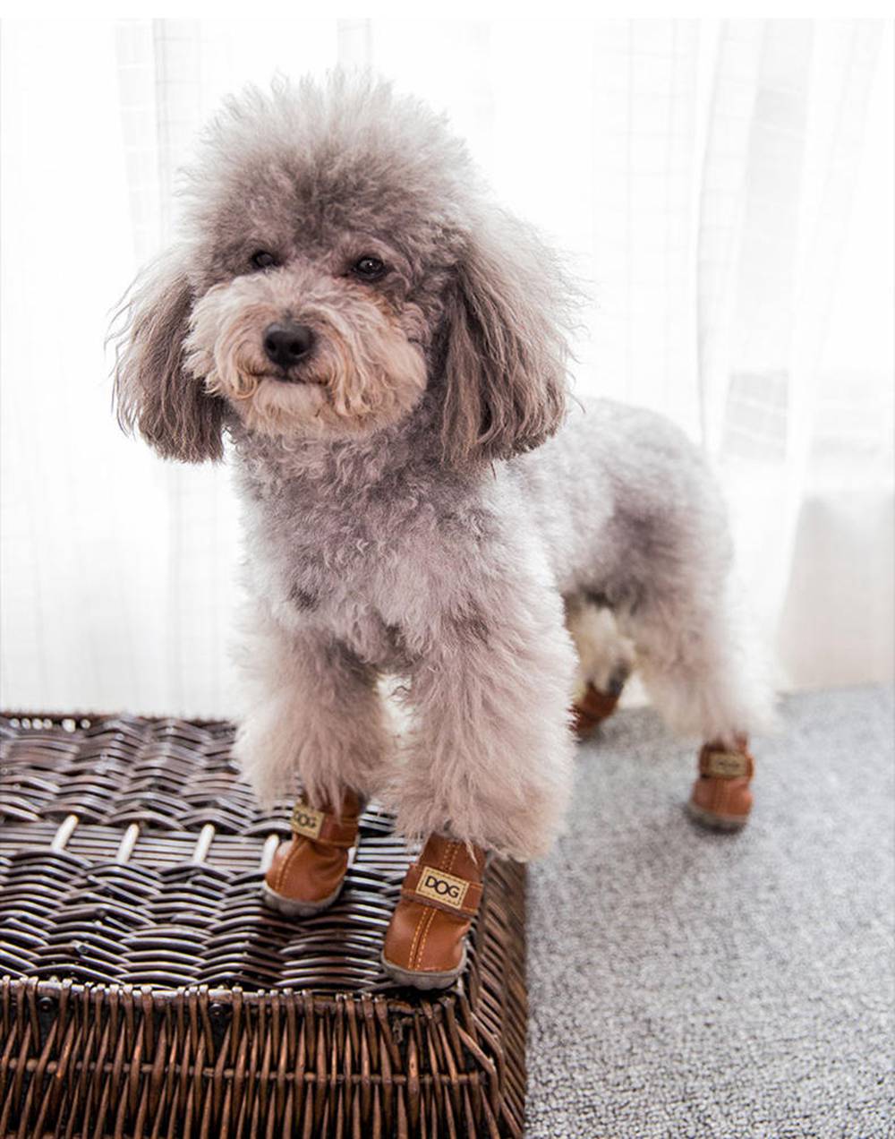 Dog wearing brown boots standing on a woven mat with a white curtain background
