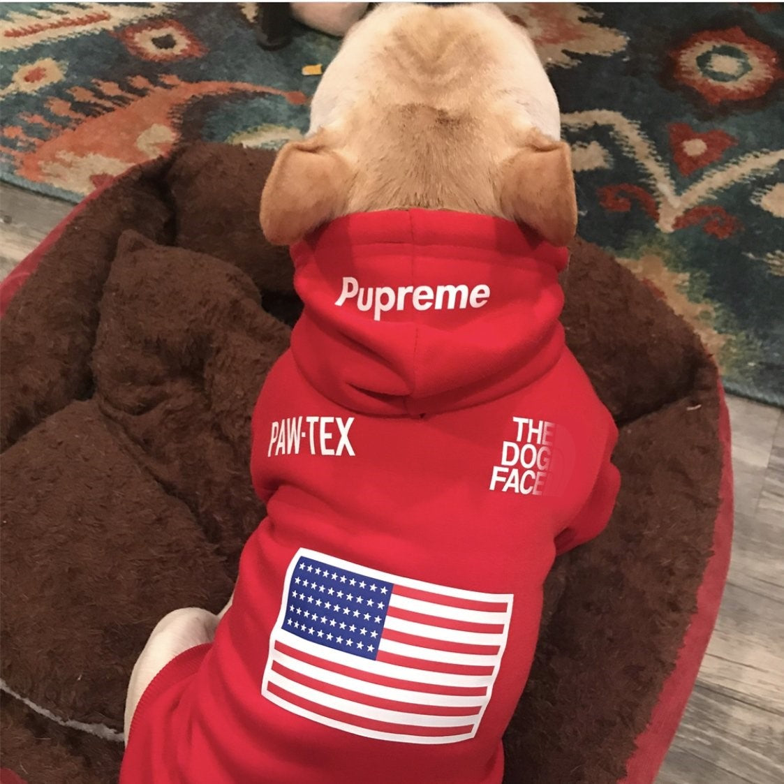 Dog wearing a red 'Supreme' hoodie with text and an American flag on a brown dog bed.