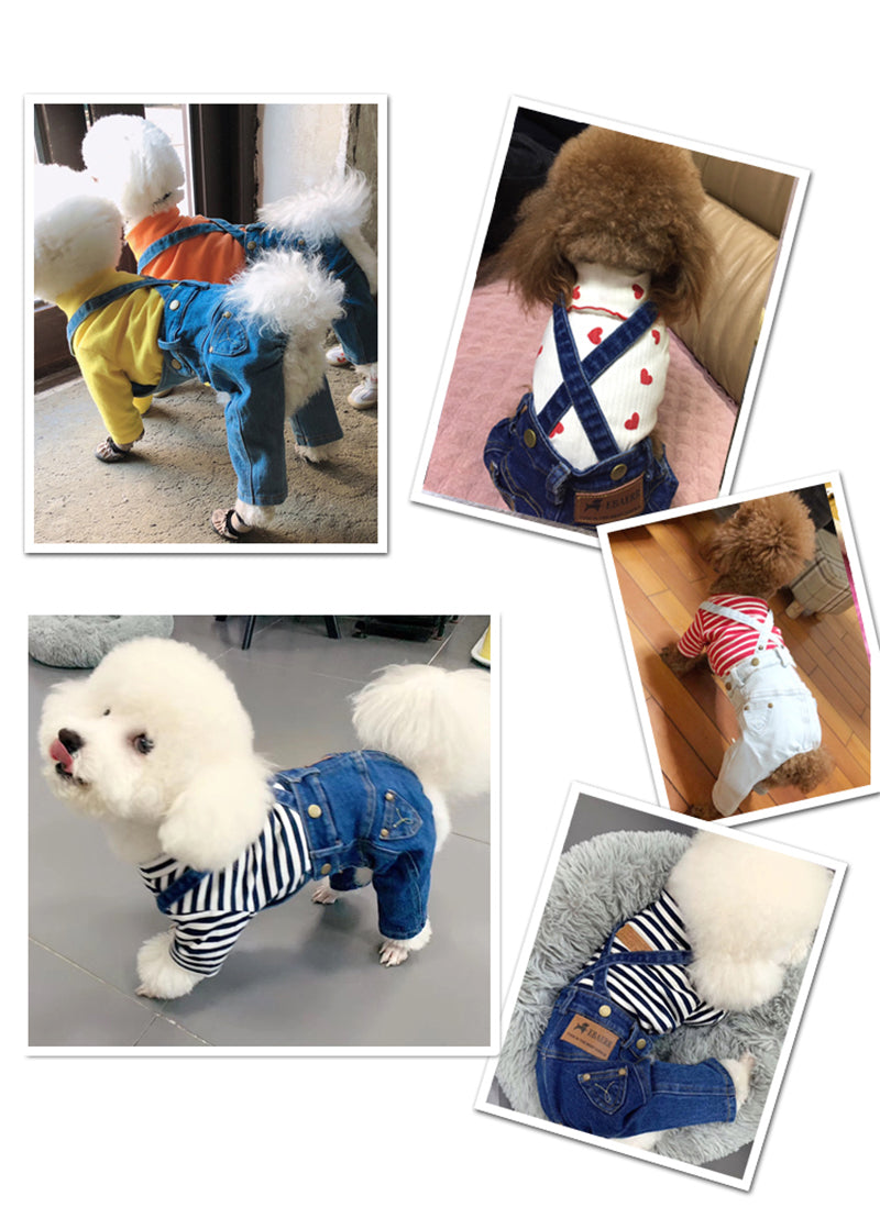 Collage of dogs wearing various outfits including denim overalls and colorful sweaters.