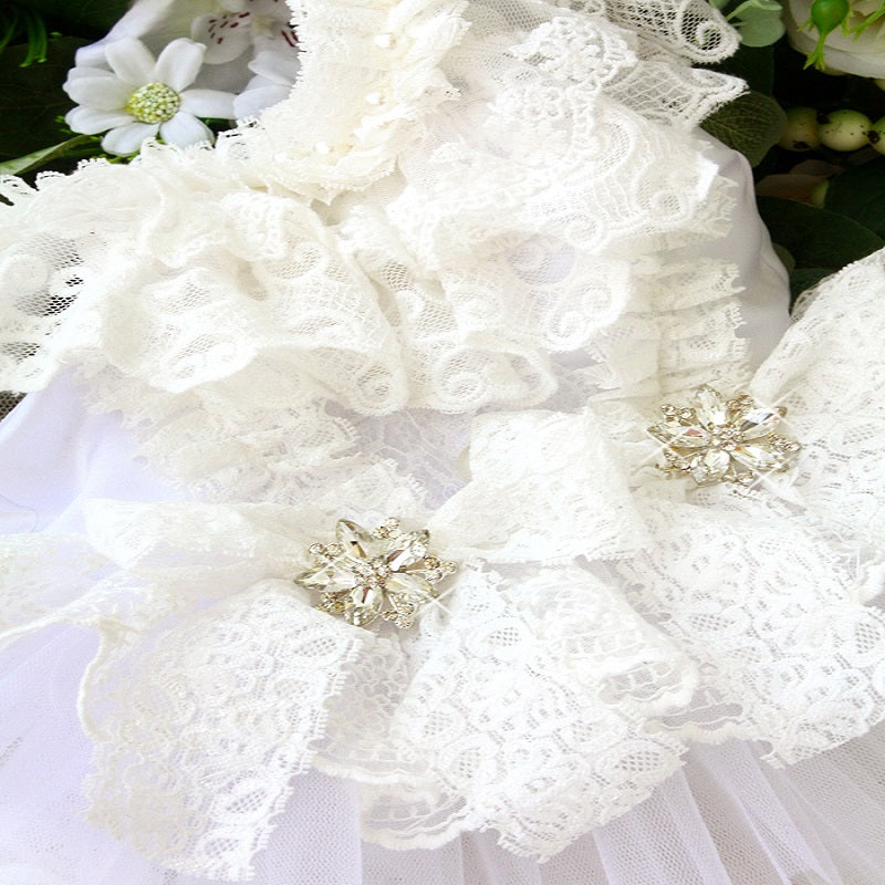 Close-up of a white lace garment with floral details and brooches.