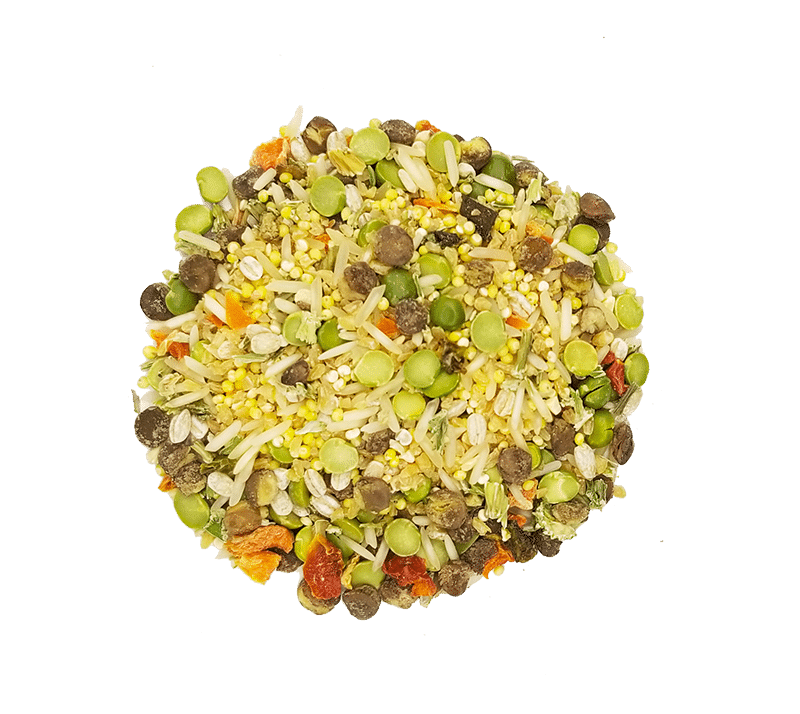 Round mixture of rice, beans, and vegetables on a green background
