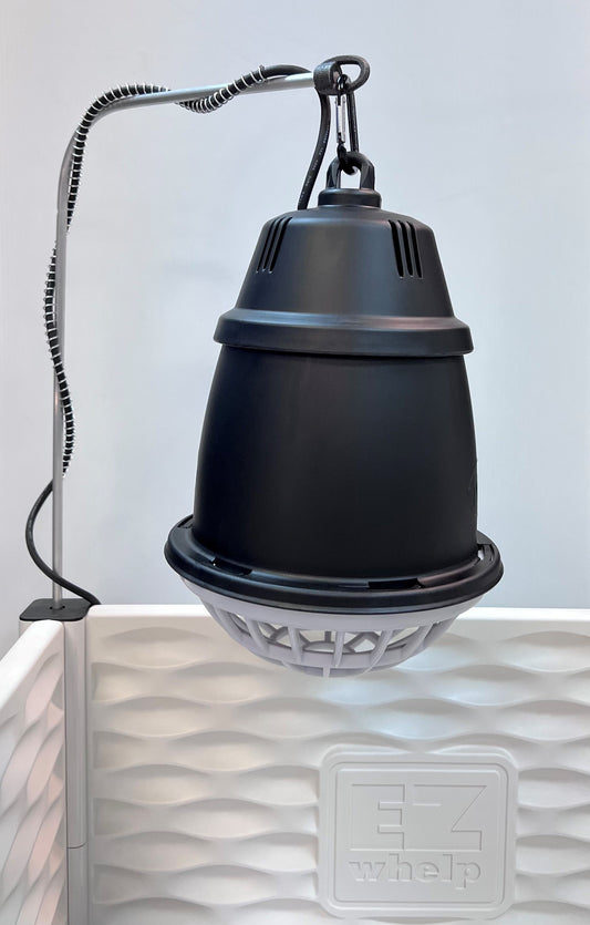 Black pendant light fixture on a textured white surface with a neutral background