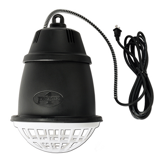 Black hanging lamp with a cord on a white background