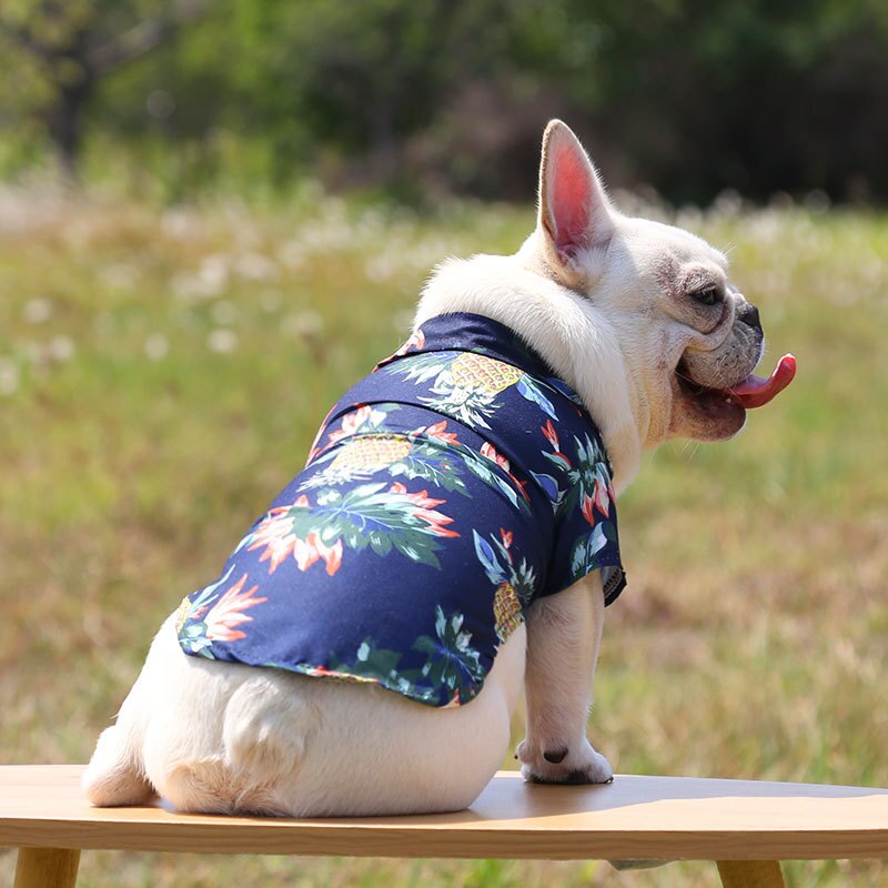 Dog wearing a floral shirt sitting on a wooden bench outdoors.