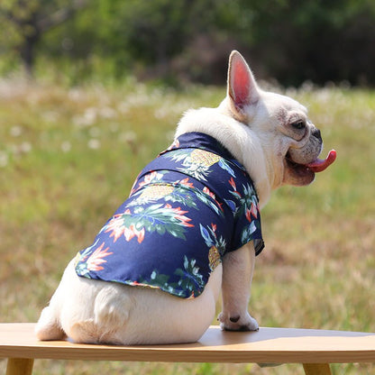 Dog wearing a floral shirt sitting on a wooden bench outdoors.