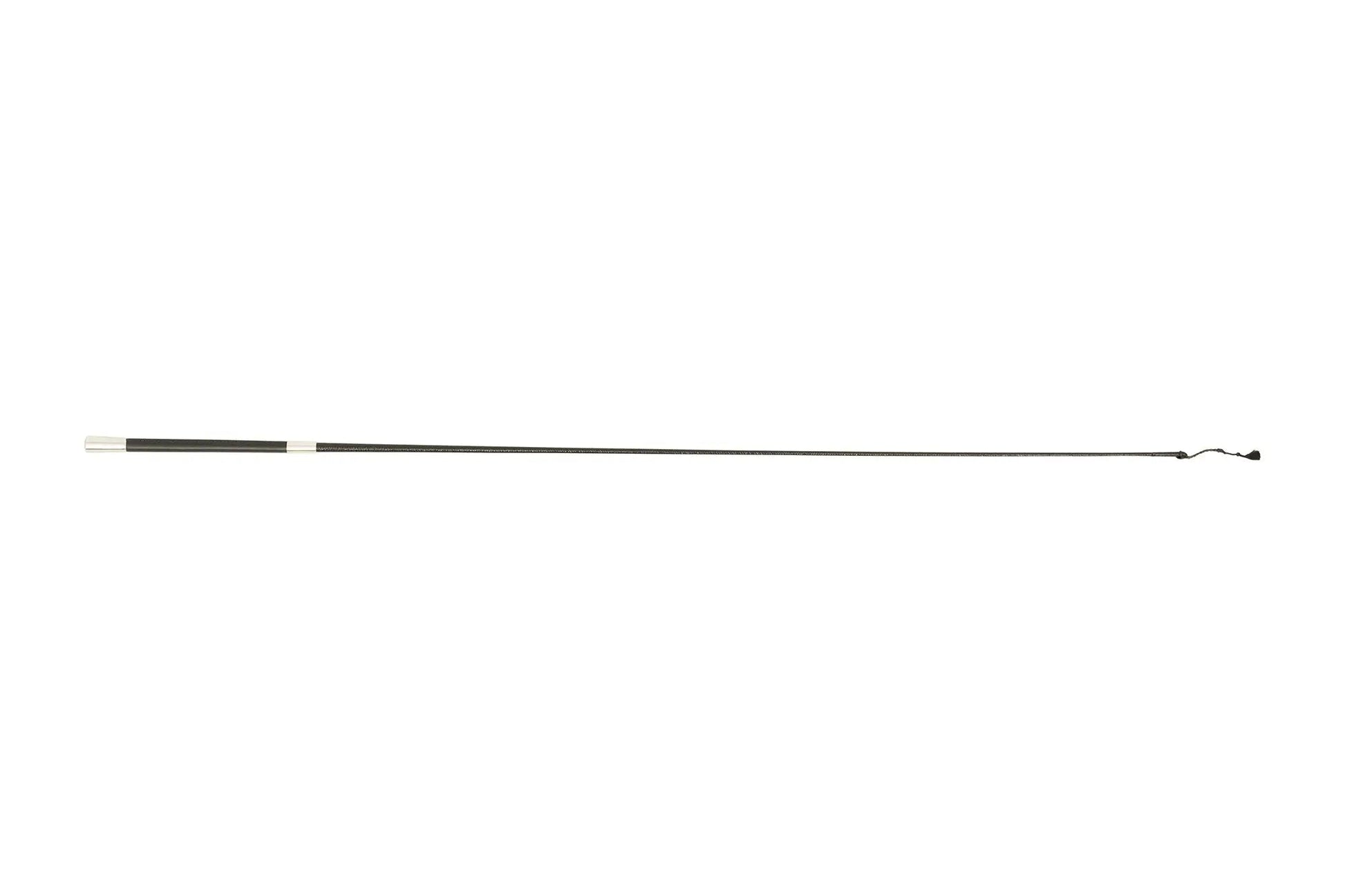 Long thin black object on a white background
