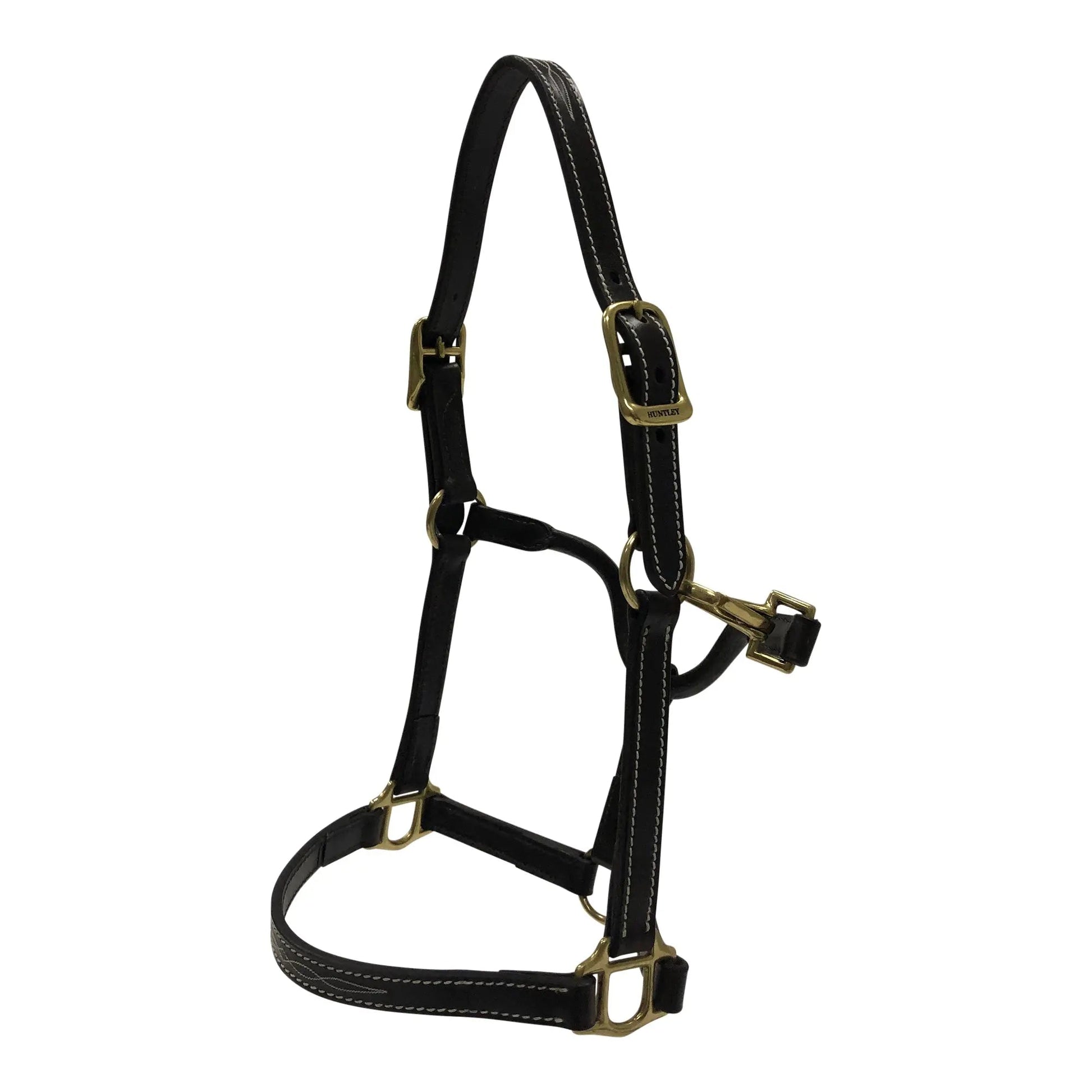 Black leather horse halter with gold hardware on a white background