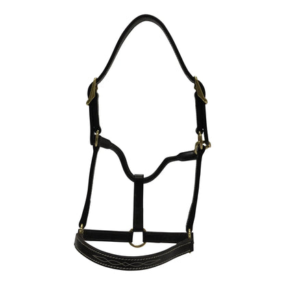 Black leather horse halter on a white background