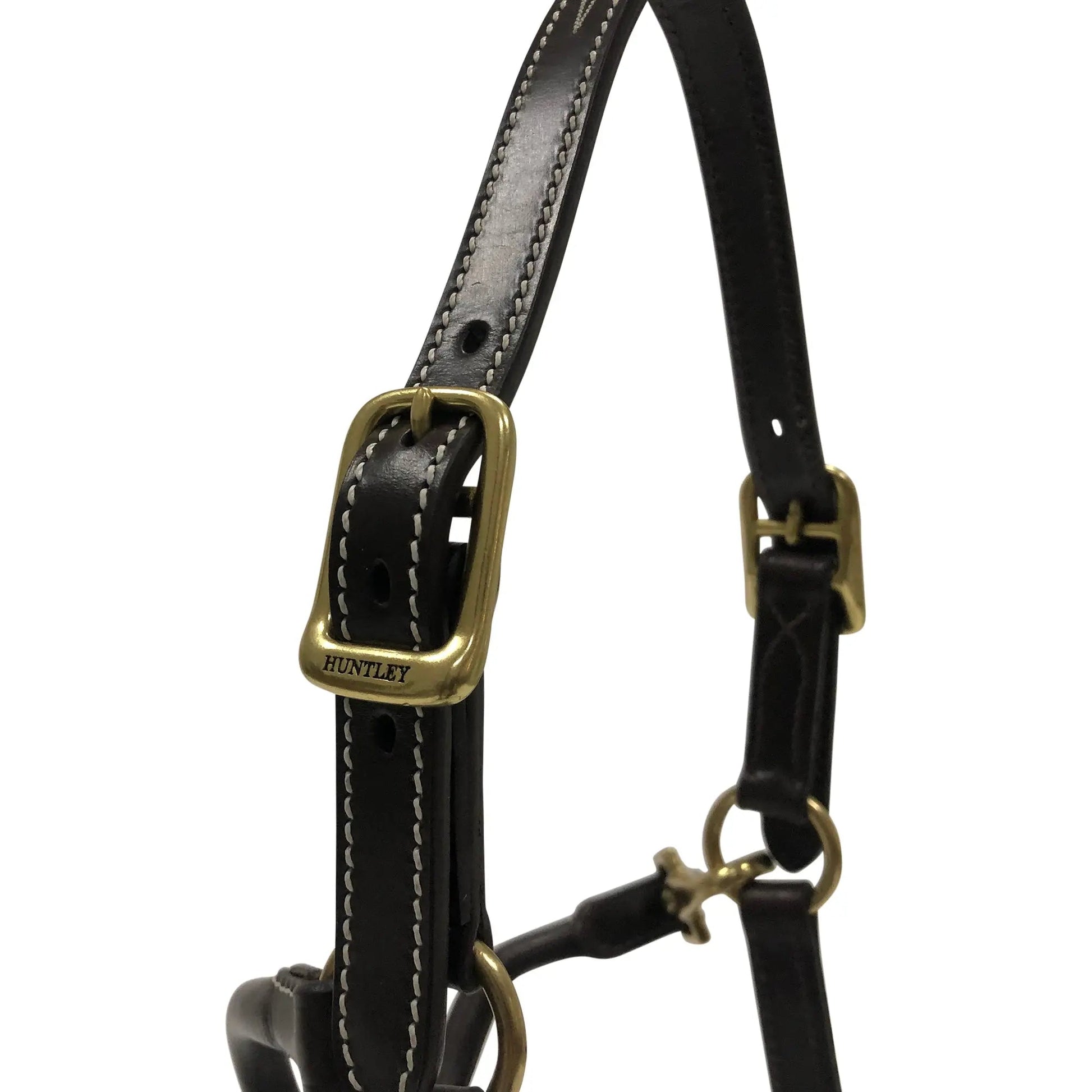 Black leather bridle with gold hardware on a white background