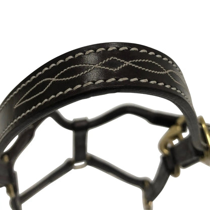 Black leather bridle with white stitching on a white background