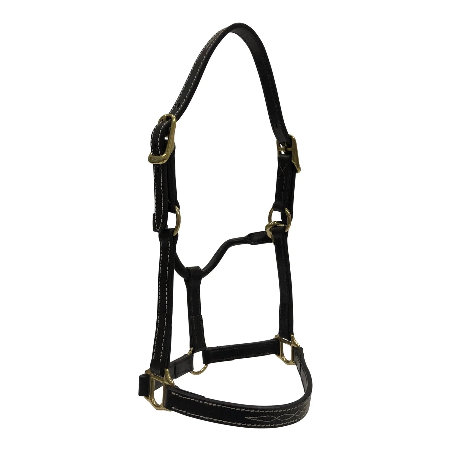 Black leather horse halter with brass hardware on a white background