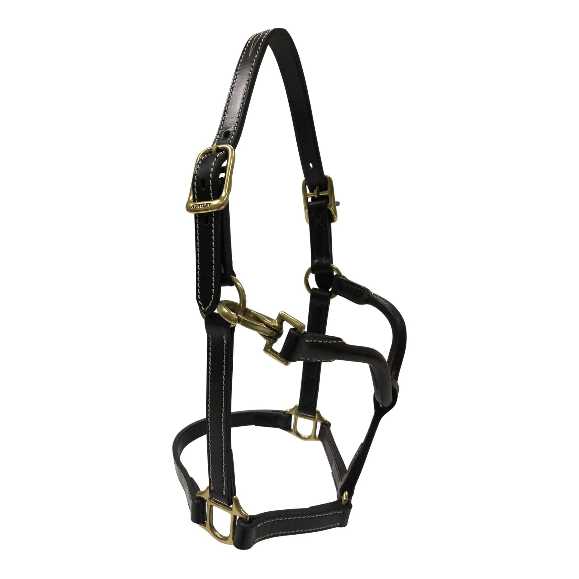 Black leather horse halter with brass hardware on a white background