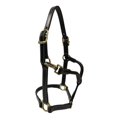 Black leather horse halter with brass hardware on a white background