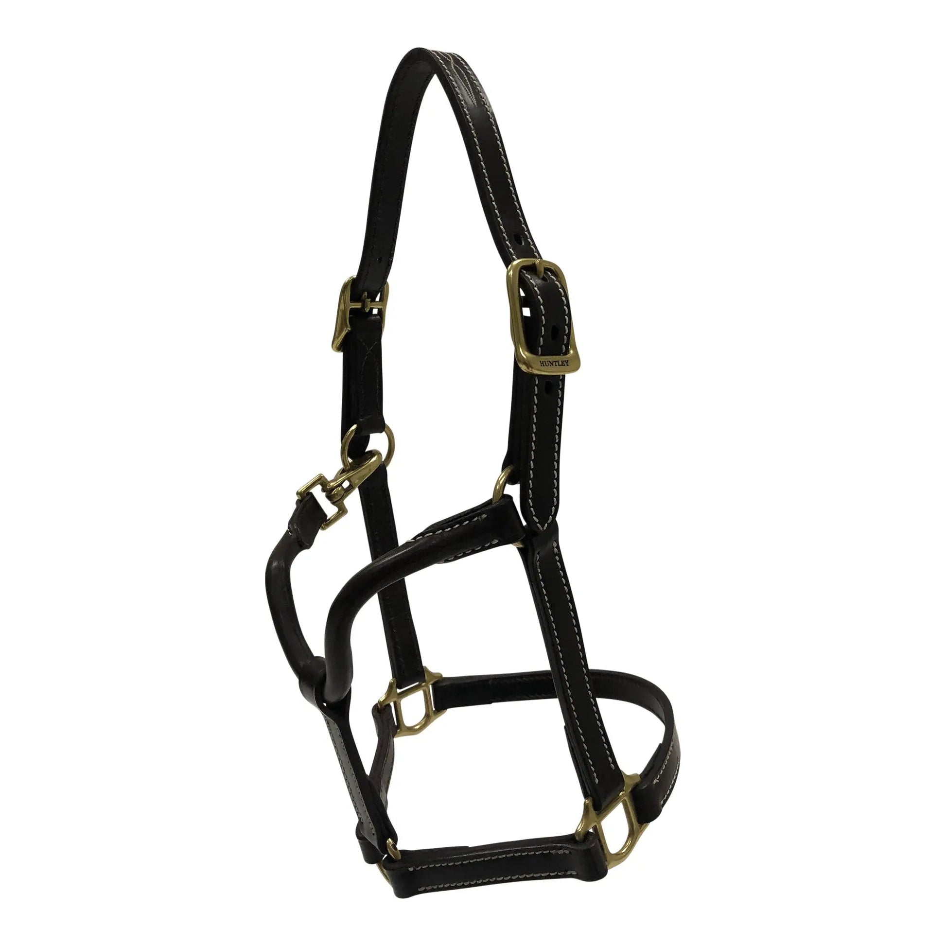 Black leather horse halter with gold hardware on a white background