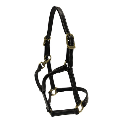 Black leather horse halter with gold hardware on a white background