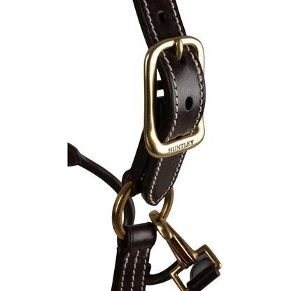 Close-up of a brown leather bridle with gold hardware on a white background