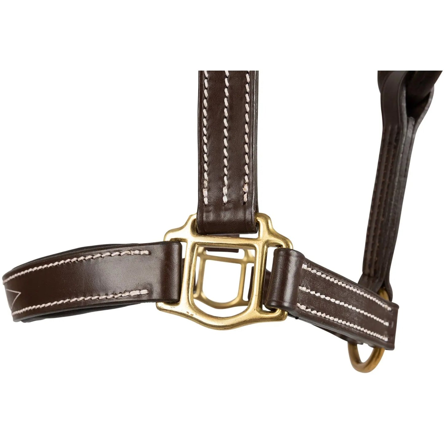 Brown leather strap with gold buckle on a white background