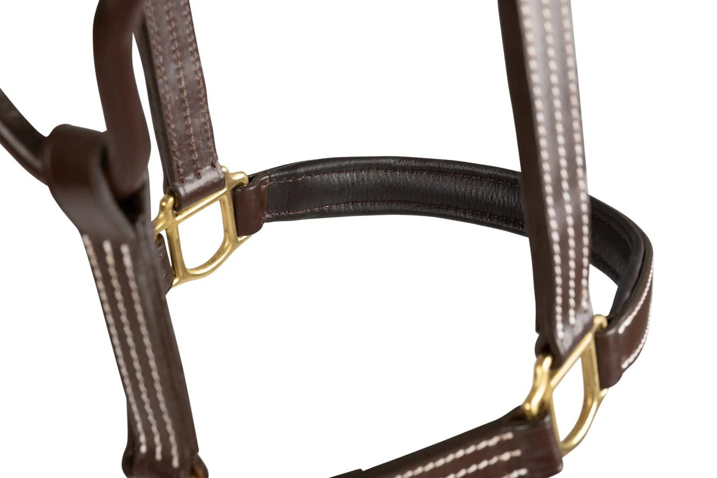 Close-up of a brown leather horse bridle with gold hardware on a white background