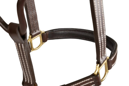 Close-up of a brown leather horse bridle with gold hardware on a white background